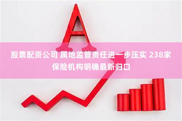 股票配资公司 属地监管责任进一步压实 238家保险机构明确最新归口